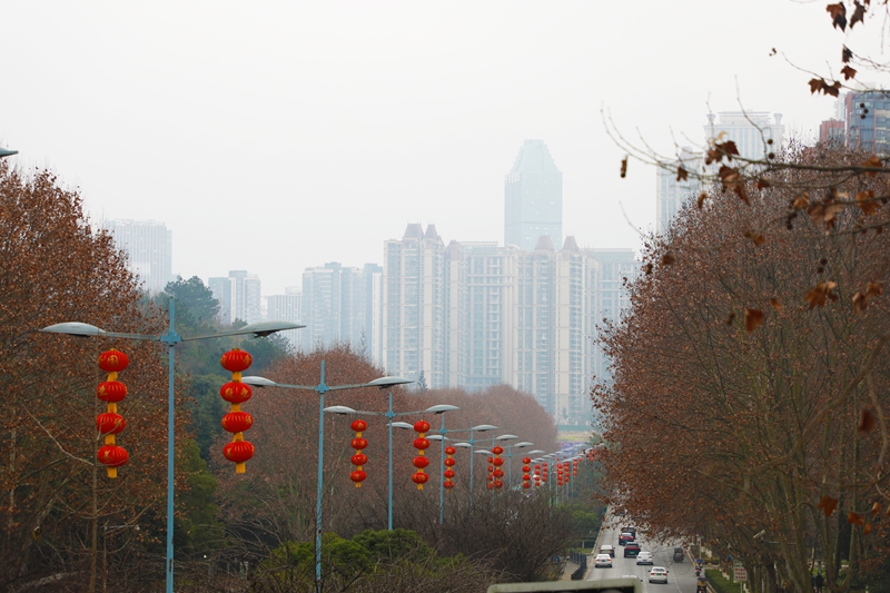 觀山湖區主次干道的燈杆進行紅燈籠標准化懸挂布置.jpg