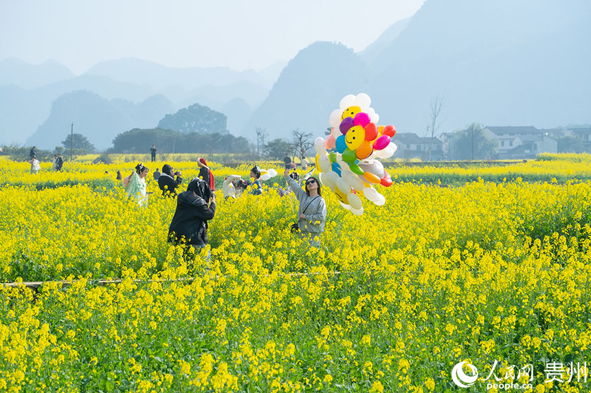 万峰林油菜花田一角。人民网 阳茜摄