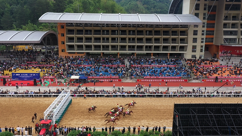 7.精彩的赛马比赛.jpg