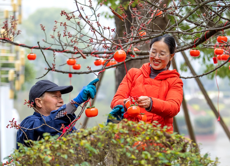 工作人员在贵州省黔西市行政中心广场挂小灯笼。