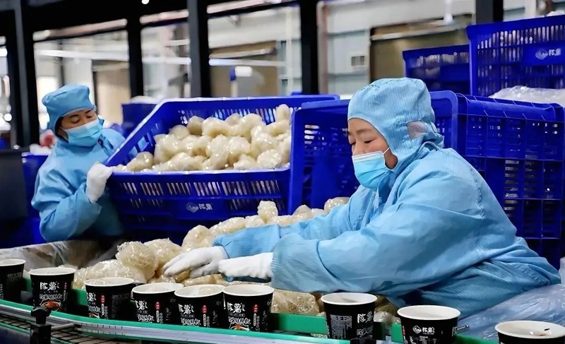 紅薯產業發展（融媒體中心  供圖）.jpg