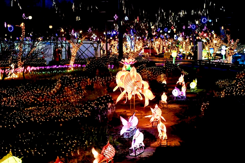 燈光璀璨的蘑力小鎮。劉楊攝