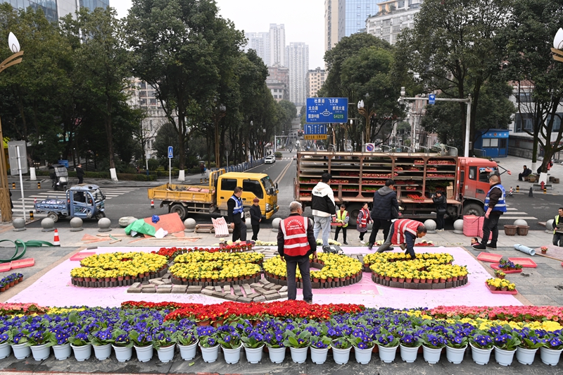 1、工作人员正有条不紊地将一盆盆鲜花搬到指定位置，并进行精心摆放。.JPG