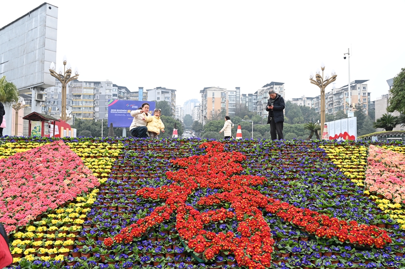 4、色彩艳丽的鲜花盛宴，吸引了市民前来观赏、拍照打卡。.JPG