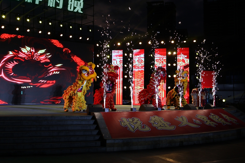 4、龙狮齐舞 。.JPG