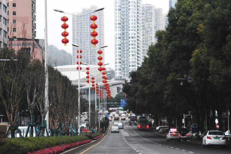 2月9日，新華路燈杆上懸挂的大紅燈籠格外醒目。