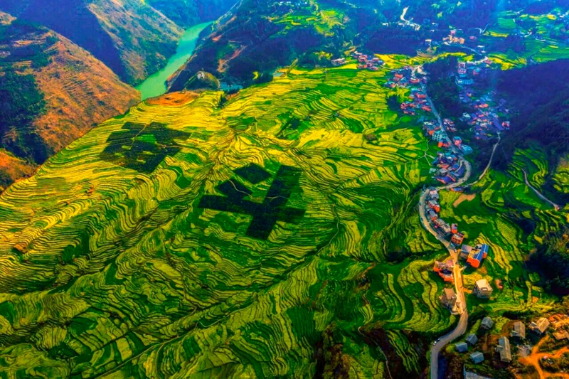 新民梯田。 鄧永長 攝.jpg