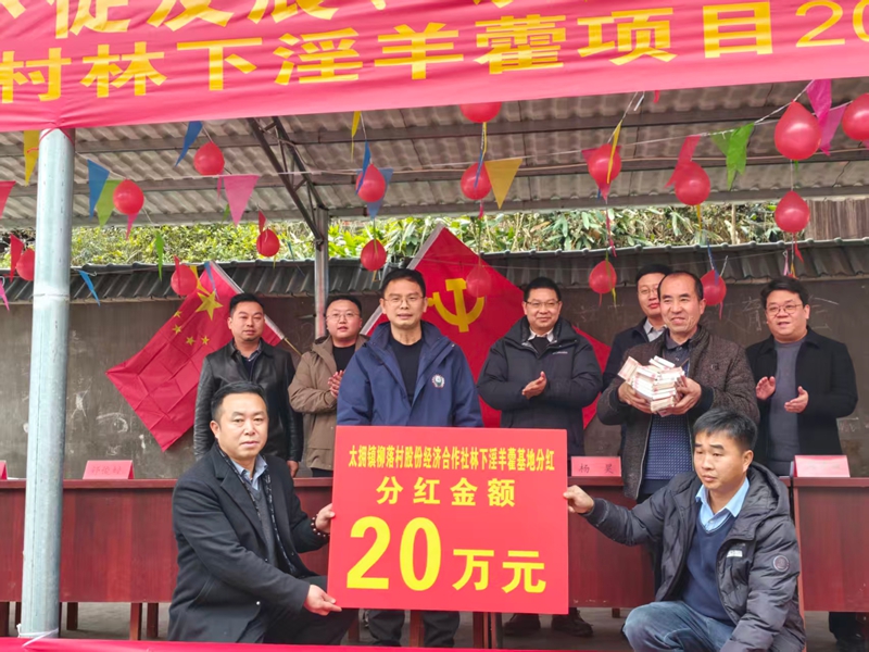 分紅大會現場 (3)