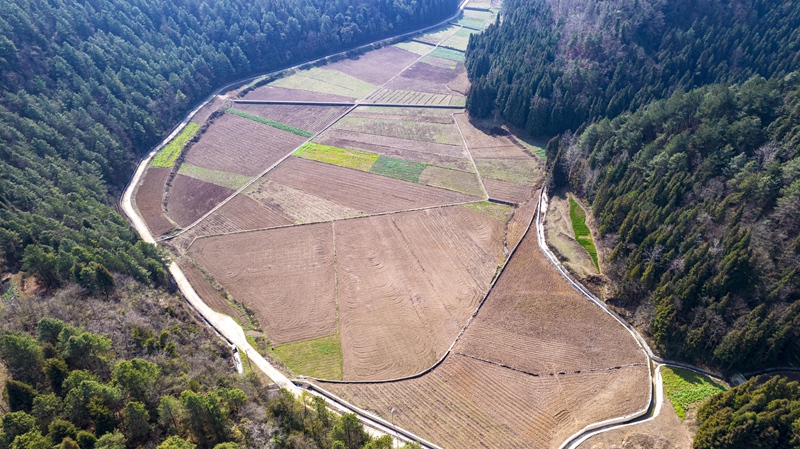 貴州省黔西市洪水鎮龍營村高標准農田。