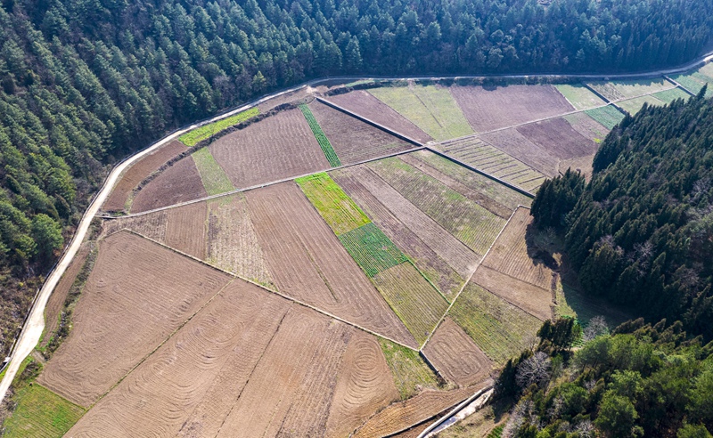 貴州省黔西市洪水鎮龍營村高標准農田。