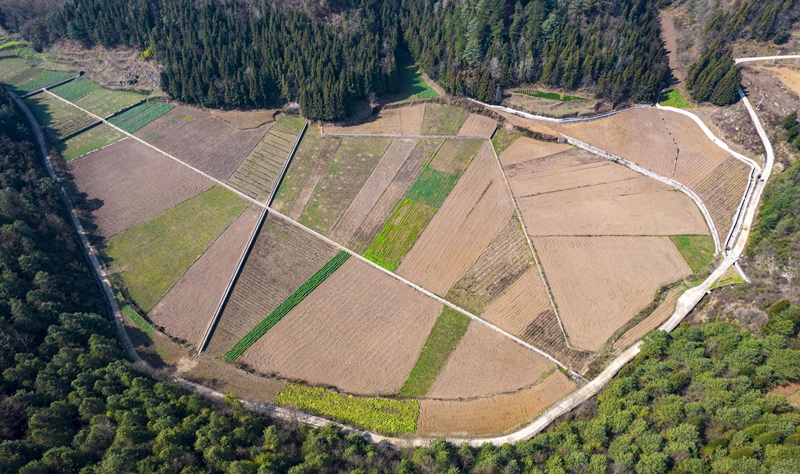 貴州省黔西市洪水鎮龍營村高標准農田。