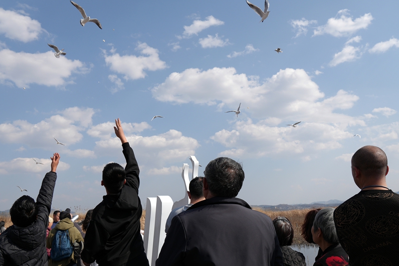 2026年2月20日，游客在江家灣碼頭與海鷗互動。岳剛攝