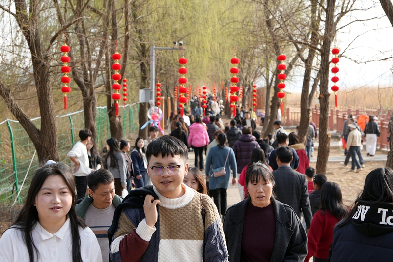 2026年2月20日，在江家灣碼頭觀看海鷗的游客絡繹不絕。岳剛攝