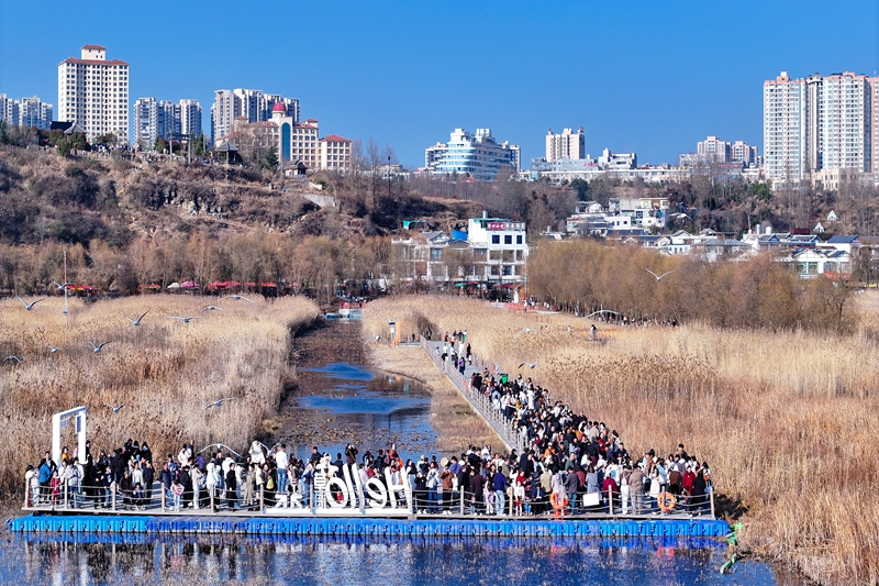 2025年12月21日，威寧自治縣海邊街道江家灣碼頭，游客正在和紅嘴鷗互動。岳剛攝