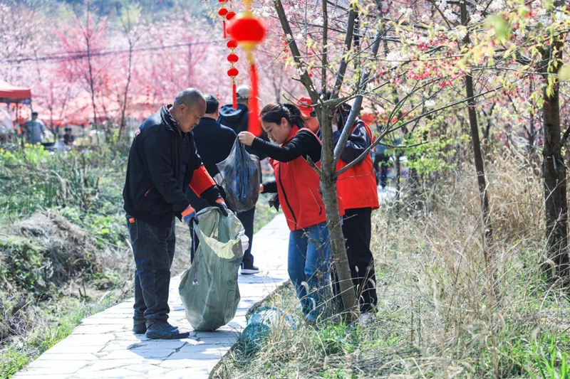 8 、志愿者在樱花园内捡拾垃圾维护环境卫生。