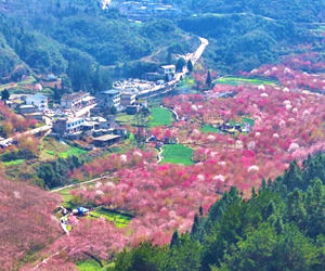 观山湖：邀您赴一场早春的约定