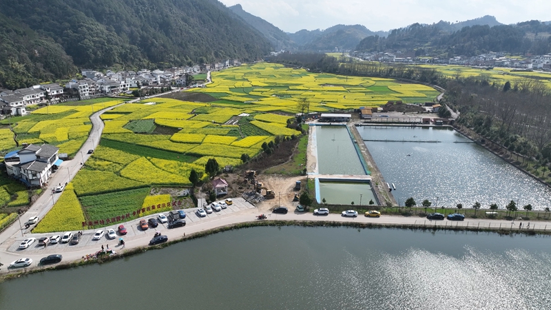 美丽的田园风光。