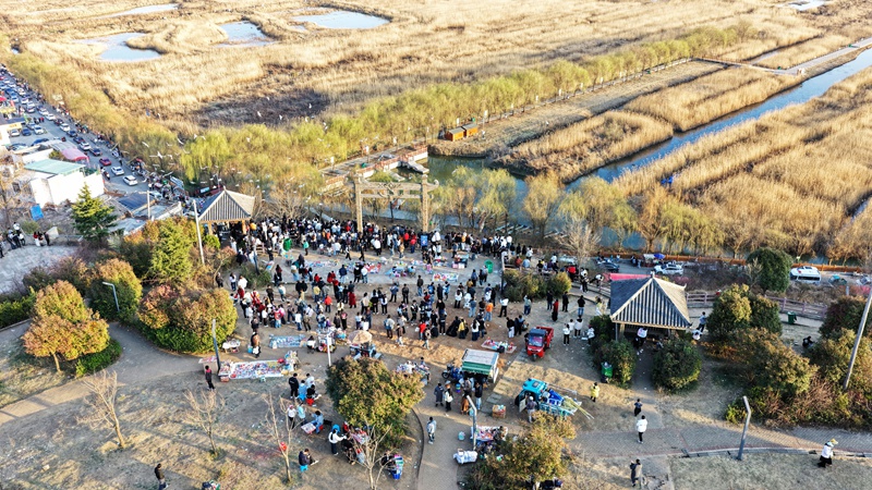 春節長假期間，在威寧自治縣草海江家灣碼頭看海鷗和游玩打卡的游客絡繹不絕