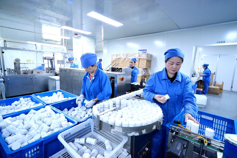 红云制药(贵州)有限公司生产场景。