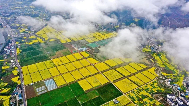 铜仁美丽乡村。