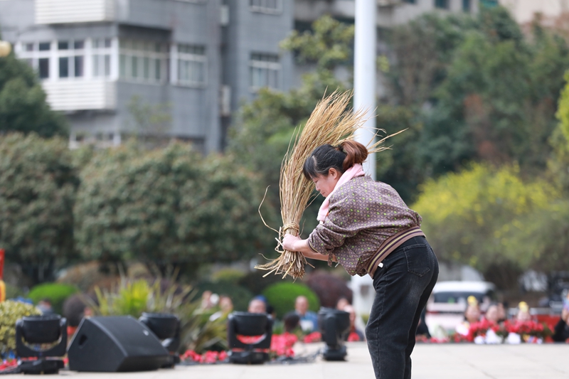 2 村民演示打谷子