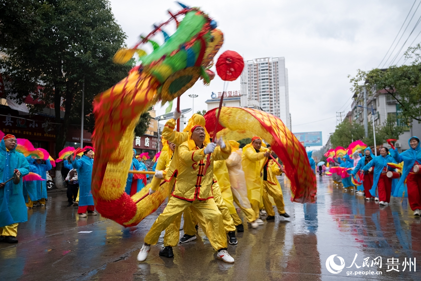 石阡縣仡佬毛龍節毛龍巡游現場。人民網記者 涂敏攝