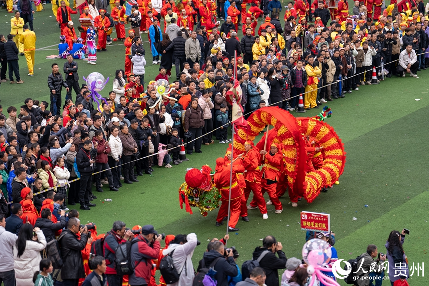 石阡縣仡佬毛龍節現場。人民網記者 涂敏攝