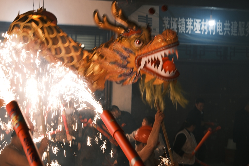 龙和烟花。 伍会芳 摄.JPG