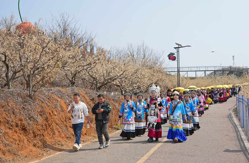 櫻桃花節系列活動“迎春神”民族巡游儀式現場。 楊 英 攝.jpg