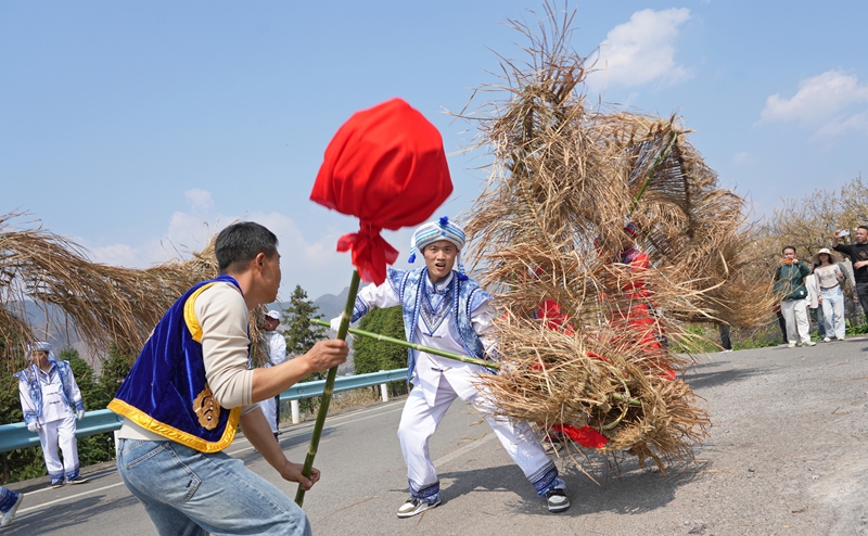 貴州省畢節市納雍縣厙東關鄉萬畝櫻桃花觀光步道上,櫻桃花節系列活動“迎春神”民族巡游儀式現場。 楊 英 攝.jpg