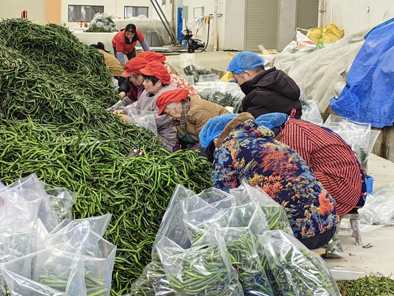 贵州铜仁：企业复工复产 全力冲刺一季度“开门红”。