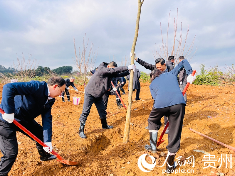 干部群众植树现场。人民网记者 陈洁泉摄