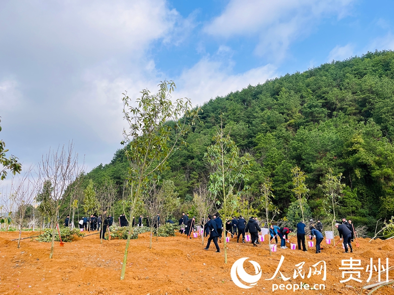 干部群众植新绿。人民网记者 陈洁泉摄