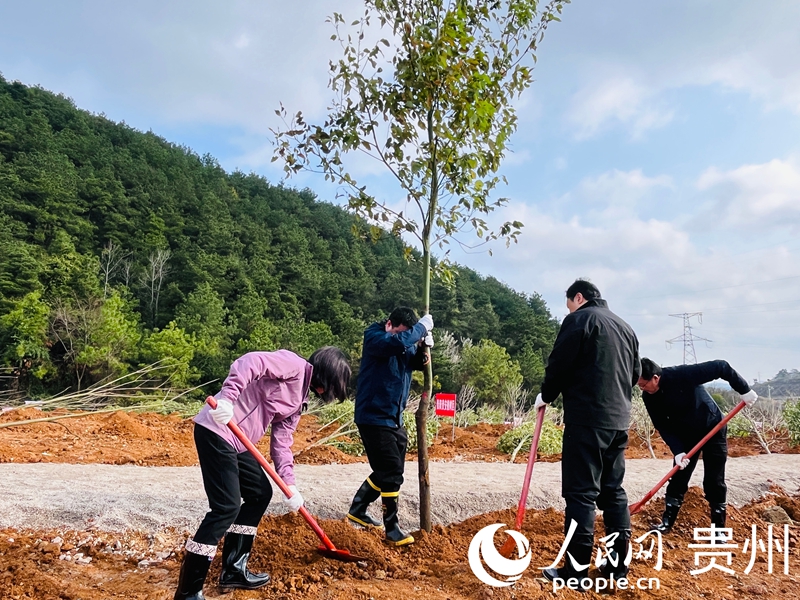 干部群众植新绿。人民网记者 陈洁泉摄