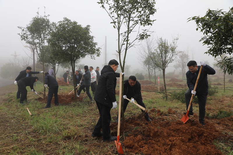 開陽縣四班子領導開展義務植樹。 