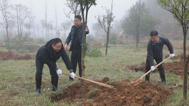開陽縣四班子領導開展義務植樹。 