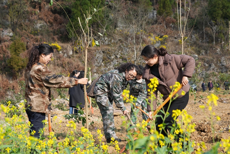 2026年2月28日，貴州省畢節市納雍縣百興鎮丫口社區縣級義務植樹現場。 楊 英 攝.jpg