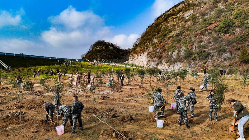 2026年2月28日，貴州省畢節市納雍縣百興鎮丫口社區縣級義務植樹現場。 楊熙 航拍.jpg