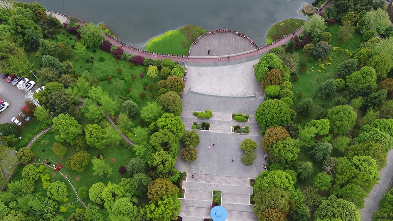 圖為：秀美的環湖新區廊道