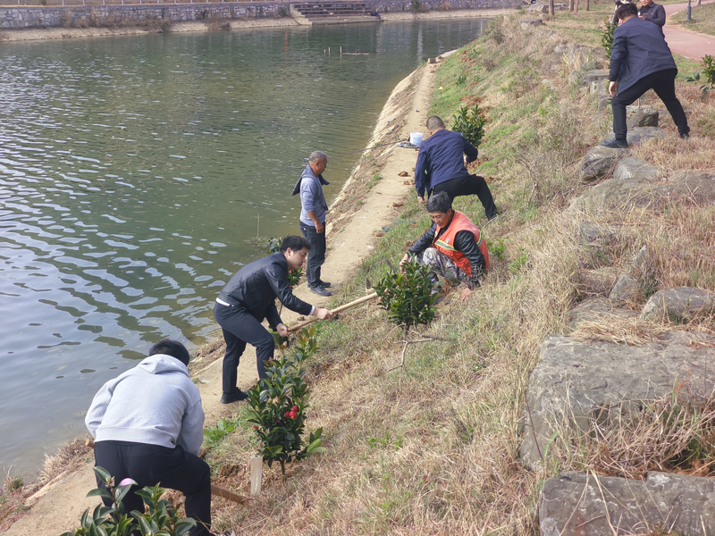 義務植樹活動現場。