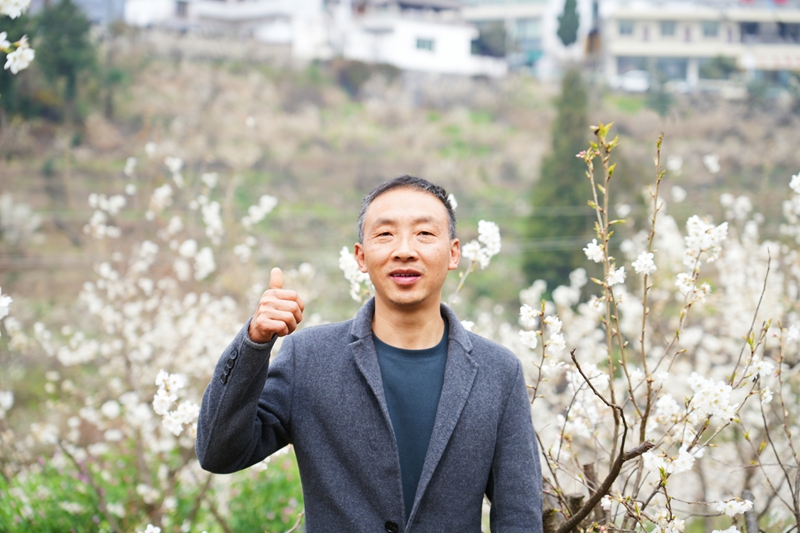 楊軍與他的“櫻桃園”.jpg