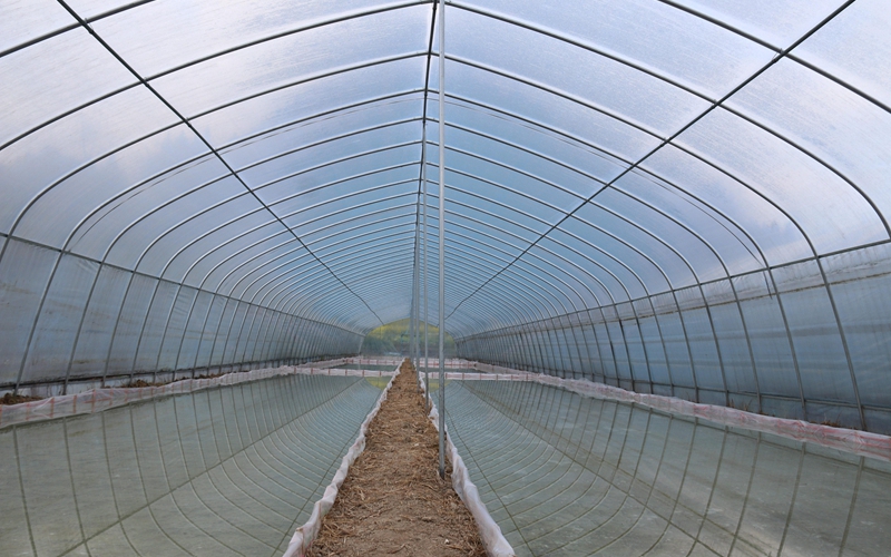 鬆桃甘龍鎮：人勤春早備耕忙