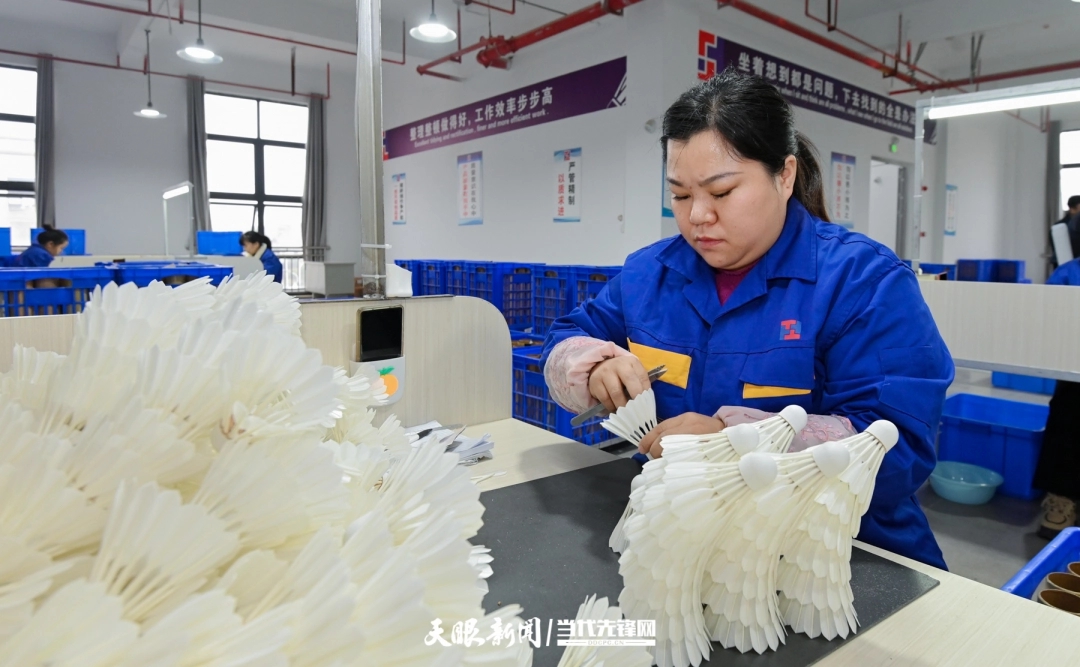 2025年11月11日，位于锦屏经开区的大桐利体育用品公司的生产车间内，工人正在检测羽毛球。贾智 摄