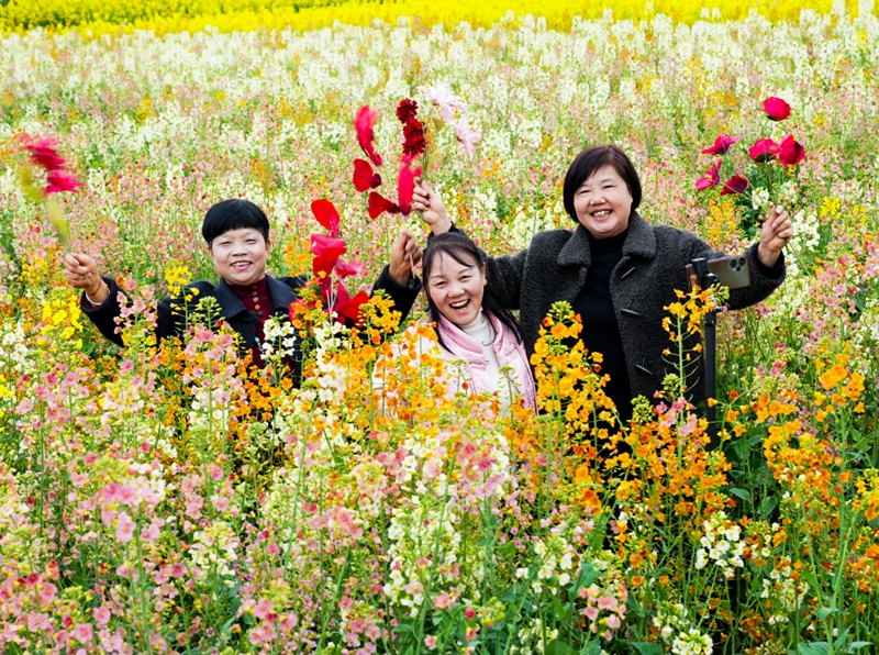 3月3日,游客在貴州省遵義市播州區茅栗鎮多彩花海裡拍照游玩。