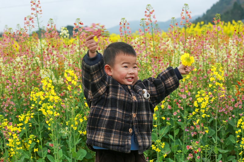 3月3日，小孩在貴州省遵義市播州區茅栗鎮油菜花海裡游玩。