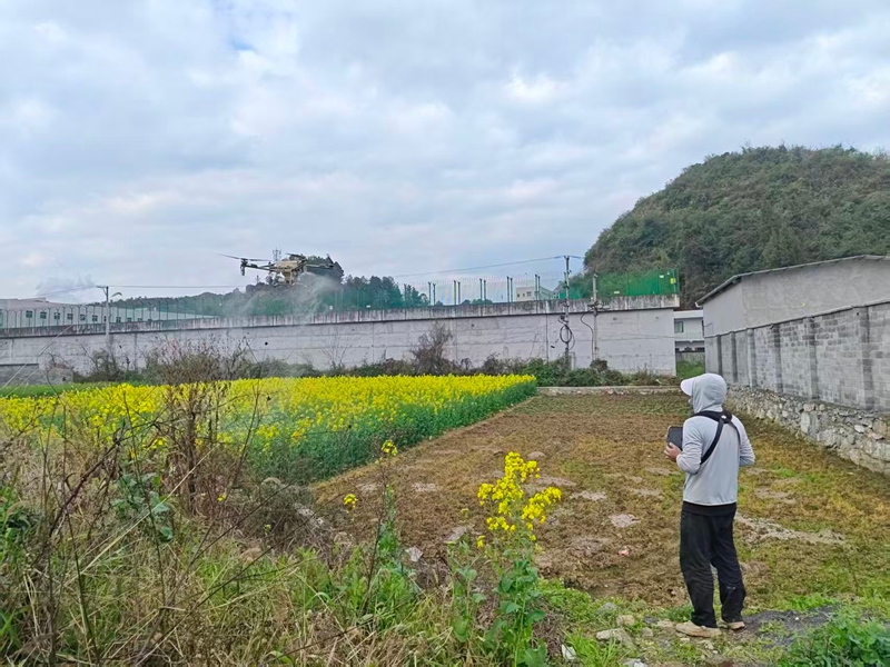1、農業無人機穿梭作業中。.jpg