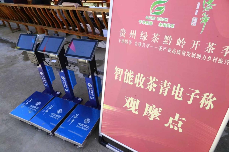 4 图为5G智能收茶青秤。.jpg