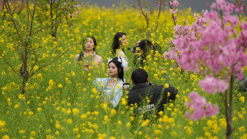 2026年3月2日，貴州省納雍縣百興鎮納雍河畔油菜花田美如畫。謝健鋒攝