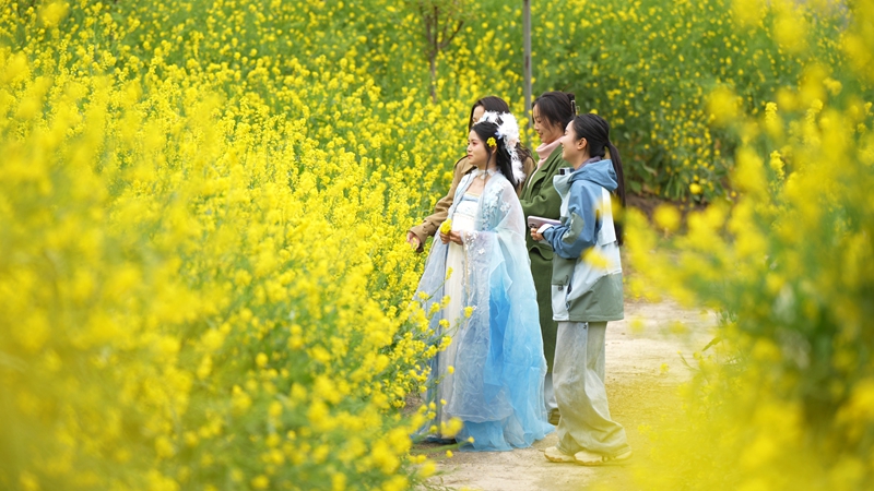 2026年3月2日，貴州省納雍縣百興鎮納雍河畔油菜花田美如畫。謝健鋒攝