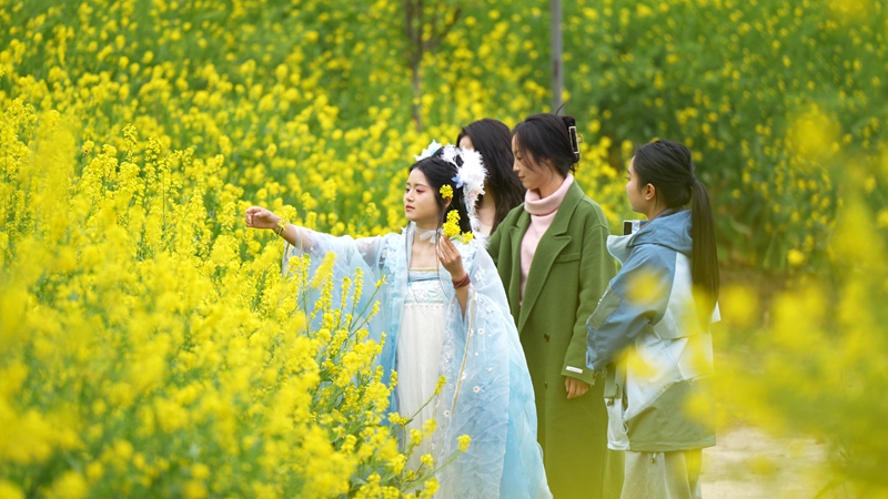 2026年3月2日，貴州省納雍縣百興鎮納雍河畔油菜花田美如畫。謝健鋒攝